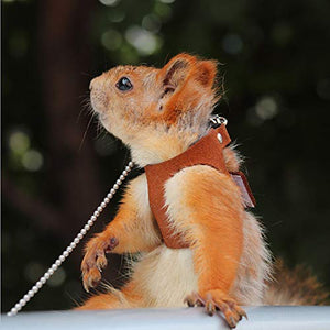 Squirrel Traction Rope Strap Anti-Biting Chain Rope, Adjustable Vest, Small Animal Walking Harness with Lead Leash, Hamster Gerbil Rat Mouse Ferret Chinchilla Small Animal Walking Leash