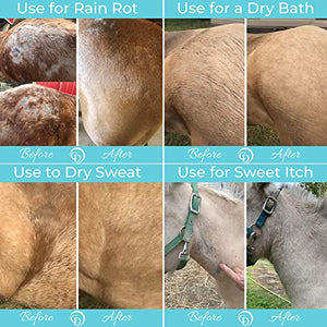 Coat Defense Daily Preventative Powder for Horses - Safe & Effective Equine Sweet Itch, Skin Funk, Scratches, & Rain Rot Treatment - Dry Shampoo for Horses, 8 oz Formula with All Natural Ingredients