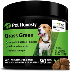 Pet Honesty Grass Green - Grass Burn Spot Chews for Dogs - Dog Pee Grass Spot Saver Caused by Dog Urine - Dog Urine Neutralizer for Lawn - Cranberry, Apple Cider Vinegar, Dog Rocks - Duck (90 ct)