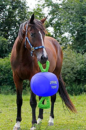 Horsemen's Pride 14" Jolly Tug Horse Toy, Blue (JT14 B),All Breed Sizes