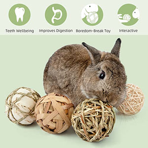 andwe Small Animals Play & Activity Balls Rolling Chew Toys for Rabbits Guinea Pigs Chinchilla