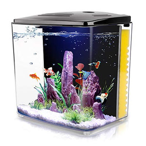 1.2Gallon Betta Aquarium Starter Kits Square Fish Tank with LED Light and Filter Pump