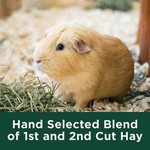 Kaytee 1st Cut Hearty and Crunchy Timothy Hay for Pet Guinea Pigs, Rabbits & Other Small Animals, 6.5 Pound