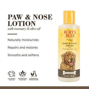 Burt's Bees for Pets Natural Paw & Nose Lotion with Rosemary & Olive Oil | Soothing Lotion for All Dogs | Cruelty Free, Sulfate & Paraben Free, pH Balanced for Dogs - Made in USA, 4oz- 2 Pack