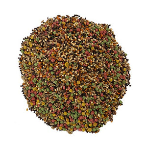 Wild Harvest B12492Q-001 Canary and Finch Food Blend, One Size,2.17 pound