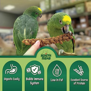 Nemeth Farms–Natural Sun Dried Millet Spray for Pet Birds–Bulk Parrot Seed Treats and Parrot Food–Natural Non GMO Millet Spray–Cockatiels Lovebirds Parakeet 2 lbs.