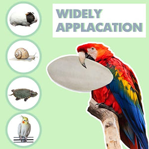 Jmxu's 5"-5.5" Bird Cuttlebone for Parakeets, Cuddle Bone with Metal Holder, Cuttlefish Bone for Sharp Beaks, Natural Birds Calcium for Parrots Cockatiels Budgie, 6 Pcs