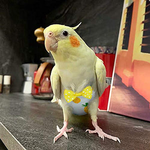 KAMA BRIDAL Bird Diaper Parrot Washable Diaper Nappies for Parakeet Cockatiel Mini Macaw Budgie Canary Flight Suit 2 Pcs