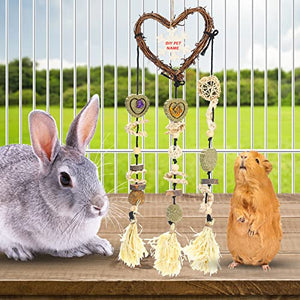 DAMPET Bunny Chew Toys， Bunny Teeth Grinding Chew Toys, Rabbit Cage Hanging Chew Toys, All Natural Materials for Guinea Pigs, Hamsters, Rabbits and Rats