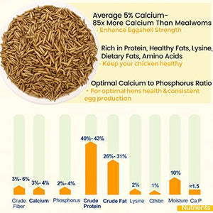 MEILLEURE Dried Black Soldier Fly Larvae for Chickens 5LBS, 85X More Calcium Than Dried Mealworms, Non-GMO 100% Natural BSF Larvae Chicken Treat for Lizard Ducks Wildbirds Gekcos