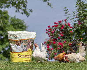 Manna Pro Ultimate Scratch Chicken Feed | Nutrient Rich Chicken Treat | 10 LB Chicken Scratch