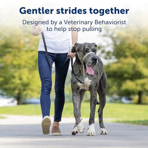 PetSafe Gentle Leader No-Pull Dog Headcollar - The Ultimate Solution to Pulling - Redirects Your Dog's Pulling For Easier Walks - Helps You Regain Control - Medium , Black