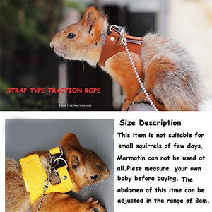 Squirrel Traction Rope Strap Anti-Biting Chain Rope, Adjustable Vest, Small Animal Walking Harness with Lead Leash, Hamster Gerbil Rat Mouse Ferret Chinchilla Small Animal Walking Leash