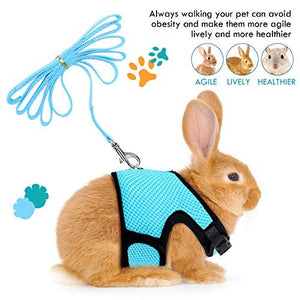 SATINIOR 2 Pieces Bunny Rabbit Harness with Leash Cute Adjustable Buckle Breathable Mesh Vest for Kitten Puppy Small Pets Walking (M, Blue, Pink) Medium