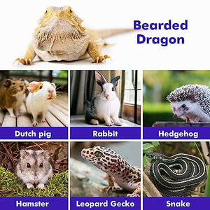 LIKZINWA Bearded Dragon Lizard Leash Harness,4 Size Pack Adjustable Small Animal Harness for Reptile and Small pet (Golden)