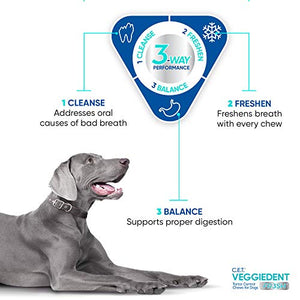 Virbac CET Veggiedent FR3SH Tartar Control Chews for Dogs, Medium (Pack of 30)Beef,1.6 pounds