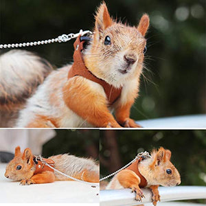 Squirrel Traction Rope Strap Anti-Biting Chain Rope, Adjustable Vest, Small Animal Walking Harness with Lead Leash, Hamster Gerbil Rat Mouse Ferret Chinchilla Small Animal Walking Leash