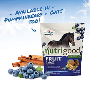 Nutrigood FruitSnax Horse Treats | Tasty Horse Treats Packed with Superfoods and Real Fruit Pieces | BerryMint + Oats Flavor | 2 Pounds