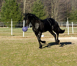 Horsemen's Pride 10" Horse Jolly Ball Purple