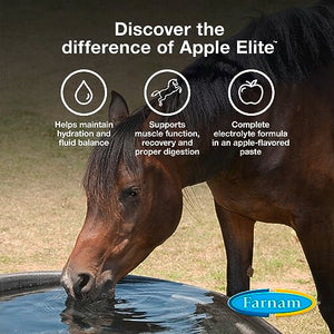 Farnam Apple Elite Horse Electrolyte Paste, Rapid replenisment of minerals lost in sweat during exercise, extreme weather and stressful conditions, 60 cc