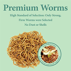 WORMSKING 11 LBS Dried Mealworms, Non GMO, High Protein Treat for Chicken, Duck, Birds, Reptile, Hamster,Hedgehog