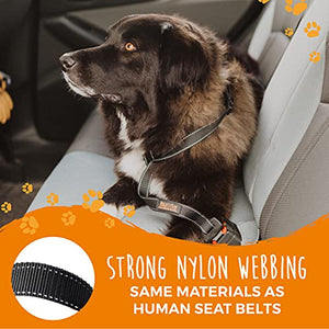 Mighty Paw Dog Seatbelt Tether - Ensures Pet Safety in Car - Leash for Car Use - Safety Belt - Car Leash Seat Belt - Pet Car Seatbelt - Dog Vehicle Leash - Safety Seatbelt Dog - Dog Accessories