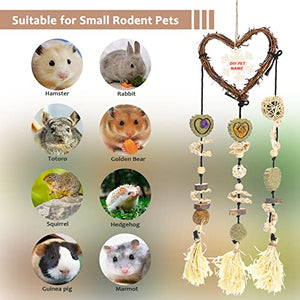 DAMPET Bunny Chew Toys， Bunny Teeth Grinding Chew Toys, Rabbit Cage Hanging Chew Toys, All Natural Materials for Guinea Pigs, Hamsters, Rabbits and Rats