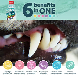 Dental Fresh Water Additive for Dogs, Original Formula, 17oz – Dog Breath Freshener and Teeth Cleaning for Dental Care– Add to Water