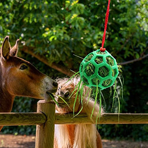 Tirifer 2pcs Horse Treat Ball Hay Feeder Toy Ball Hanging Feeding Toy for Horse Horse Goat Sheep Relieve Stress, Horse Stable Stall Paddock Rest