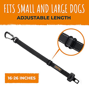 Mighty Paw Dog Seatbelt Tether - Ensures Pet Safety in Car - Leash for Car Use - Safety Belt - Car Leash Seat Belt - Pet Car Seatbelt - Dog Vehicle Leash - Safety Seatbelt Dog - Dog Accessories