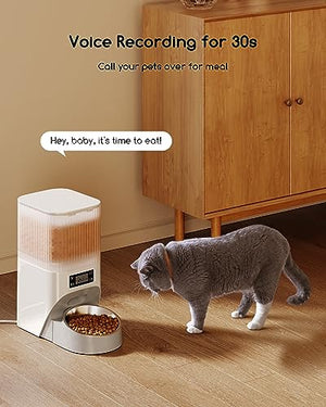 Faroro Automatic Cat Food Dispenser, 4L/17 Cups Timed Dry Food Dispenser for Cats Dogs with Programmable Portion Control, 6 Meals Per Day, Dual Power Supply, 10s Voice Recorder