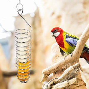 Bac-kitchen Bird Food Holder, Parrots Foraging Toys for Birdcage, Hanging Stainless Steel Bird Treat Feeders, Bird Food Basket for Fruit Vegetable Grain Wheat, Bird Feeder Toy for Conures (Basket)