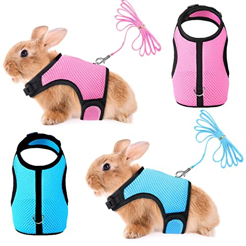 SATINIOR 2 Pieces Bunny Rabbit Harness with Leash Cute Adjustable Buckle Breathable Mesh Vest for Kitten Puppy Small Pets Walking (M, Blue, Pink) Medium