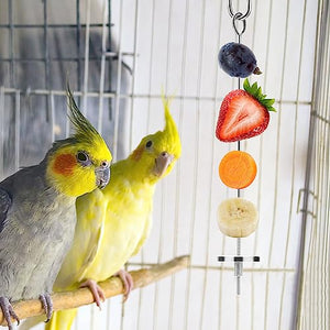 Bird Food Holder Stainless Steel Fruit Vegetable Stick Skewer for Parrots Cockatoo Cockatiel Cage Treating Tool (L: 7.86inch)