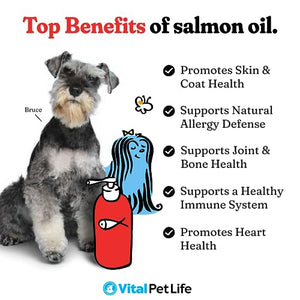 Salmon Oil for Dogs & Cats - Healthy Skin & Coat, Fish Oil, Omega 3 EPA DHA, Liquid Food Supplement for Pets, All Natural, Supports Joint & Bone Health, Natural Allergy & Inflammation Defense, 32 oz