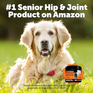 Pet Honesty Senior Hemp Mobility - Hip & Joint Supplement for Senior Dogs - Hemp Oil & Powder, Glucosamine, Collagen, MSM, Green Lipped Mussel, Support Mobility, Helps with Occasional Discomfort (90)