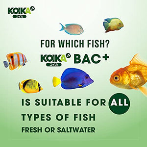 KOIKA BAC+ Aquarium Probiotics, Immunity Boosting, Disease Resistance & Improve The Digestive System (BAC+,105ml)