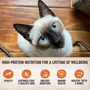 Wellness CORE Tiny Tasters Wet Cat Food Topper, Grain Free, Complete & Balanced Nutrition Made with Real Meat, No-Mess Pouches, 12 Pack (Adult Cat, Land Variety Pack)