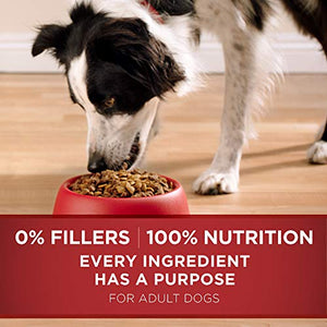 Purina ONE Chicken and Rice Formula Dry Dog Food - 40 lb. Bag