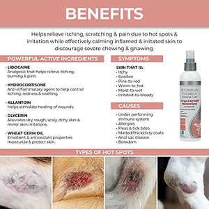 Veterinary Formula Clinical Care Hot Spot & Itch Relief Medicated Spray, 8oz – Easy to Use Spray for Dogs & Cats – Helps Alleviate Sensitive Skin, Scratching, and Licking of Coat