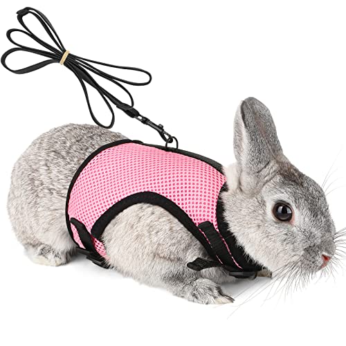 Pettom Bunny Rabbit Harness with Stretchy Leash Cute Adjustable Buckle Breathable Mesh Vest Harness and Leash Set for Kitten Small Pets Holland Lop Bunnies Walking (S(Chest:9.8-12.5 in))