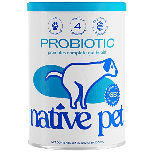 Native Pet Vet Created Probiotic Powder for Dogs Digestive Issues - Probiotic Powder + Prebiotic + Bone Broth - 232 Gram 6 Billion CFU- Probiotics Dogs Will Love! (8.2 oz)