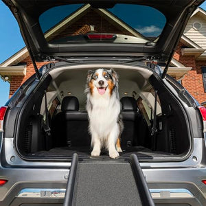 PetSafe Happy Ride Folding Pet Ramp for Cars, Trucks, & SUVs- 62 Inch Portable for Large Dogs with Siderails, Non-Slip- Weighs Only 10 lb, Supports up to 150 lb, Easy Storage, Folds in Half