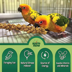 Nemeth Farms–Natural Sun Dried Millet Spray for Pet Birds–Bulk Parrot Seed Treats and Parrot Food–Natural Non GMO Millet Spray–Cockatiels Lovebirds Parakeet 2 lbs.