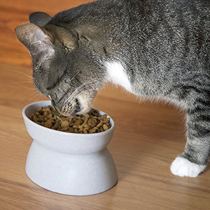 Kitty City Raised Cat Food Bowl Collection/Stress Free Pet Feeder and Waterer and Slow Feed Bowls