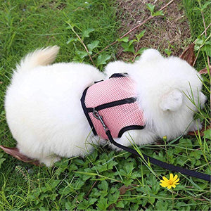 Pettom Bunny Rabbit Harness with Stretchy Leash Cute Adjustable Buckle Breathable Mesh Vest Harness and Leash Set for Kitten Small Pets Holland Lop Bunnies Walking (S(Chest:9.8-12.5 in))