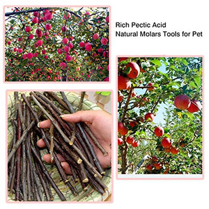 500g Organic Apple Sticks for Rabbits Wood Tree Branches Pet Snacks Chew Toys Branch for Guinea Pigs Chinchilla Squirrel Bunny Hamster Small Animals Teeth Grinding