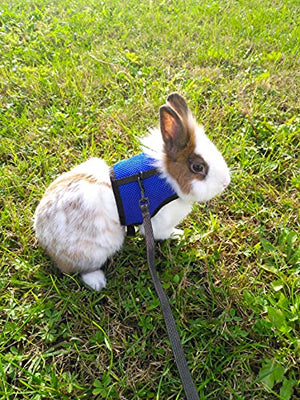 Pettom Bunny Rabbit Harness with Stretchy Leash Cute Adjustable Buckle Breathable Mesh Vest Harness and Leash Set for Kitten Small Pets Holland Lop Bunnies Walking (S(Chest:9.8-12.5 in))