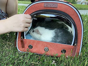 Guinea Pig Carrier, Guinea Pig Travel Cage for 2 (Two), Small Animals Reptile Travel Carrier Bunny Bird Rat Carrier