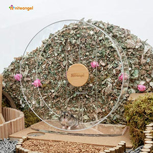 Niteangel Silent Hamster Exercise Wheel - Dual-Bearing Quiet Spinning Acrylic Hamster Running Wheel for Hamster Gerbils Mice Degus Or Other Small Animals (Large - Wider Version)